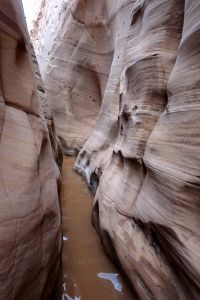Zebra Canyon - dál jsem se nedostal, chtělo to mít neoprén.